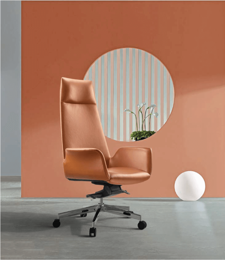 เก้าอี้ผู้บริหารหนังแท้ DF PROCHAIR รุ่น Rise Chair สีน้ำตาล